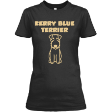 Kerry Blue Terrier Gold